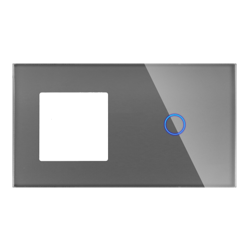 Panel Szklany Podwójny 1F1G Szary DC Smart Home