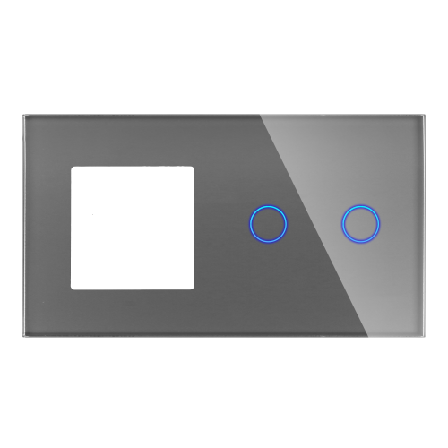Panel Szklany Podwójny 1F2G Szary DC Smart Home
