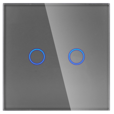 Panel Szklany Pojedynczy 2G Szary DC Smart Home