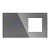 Panel Szklany Podwójny 1G1F Szary DC Smart Home