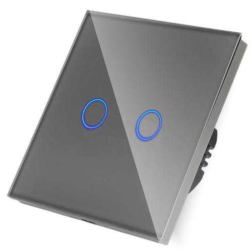 Włącznik dotykowy podwójny ZigBee 2.4GHz Szary Bez N